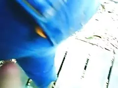 Enormes membros negros penetrando nos buracos das vadias Loiras vídeo pornô de sexo selvagem